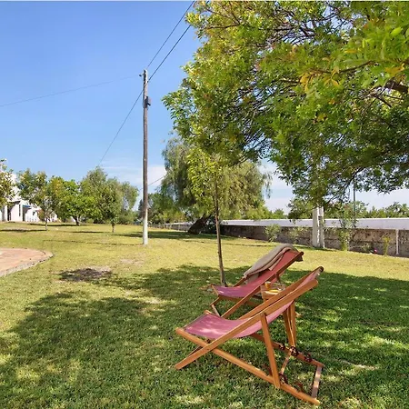 Casa Da Gomeira * Conceição